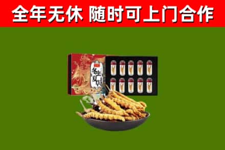 钟山区烟酒回收冬虫夏草礼盒.jpg