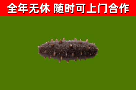 钟山区烟酒回收干海参.jpg